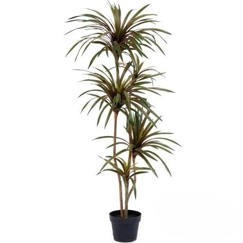 Dracaena Marginata - Simülasyon Renkli At Kuyruğu Demir Dracaena