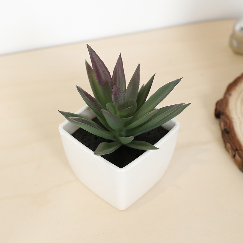 Echeveria Succulent - Mini Yapay Etli Peri Bardağı Küçük