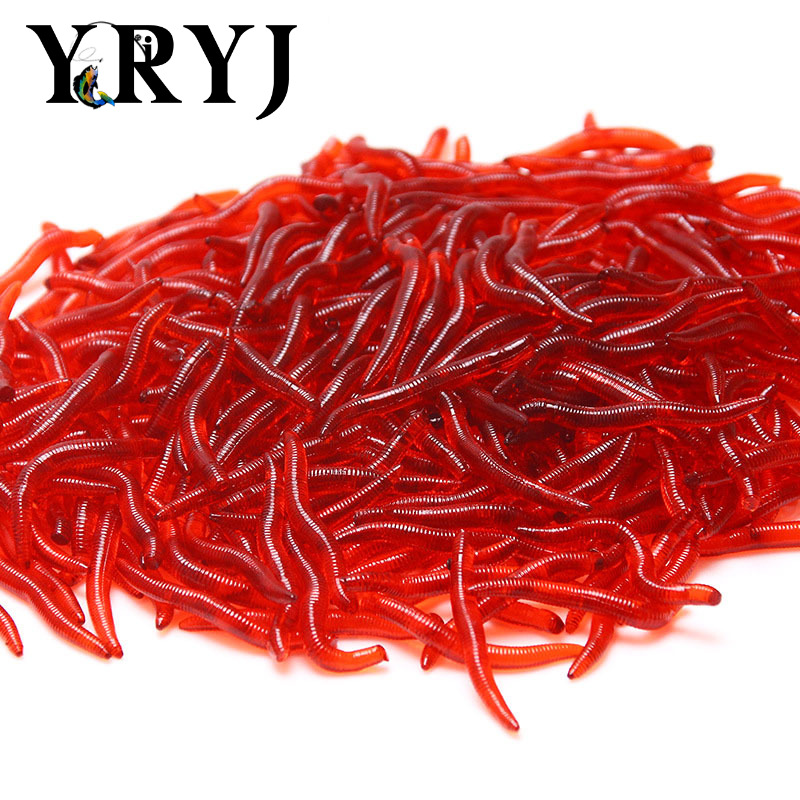 Aglaonema Red - 3.5cm Yumuşak Yem Levrek Çipura Kan
