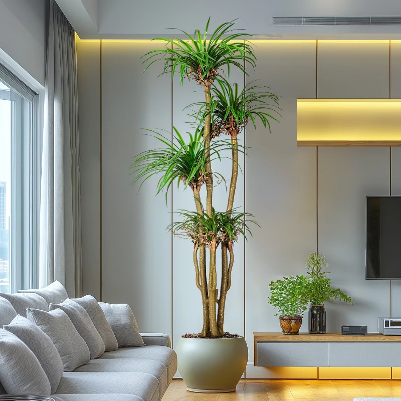 İç/Dış Mekan Ev Ağacı Simüle E - Dracaena Marginata incelemesi ve fiyatı