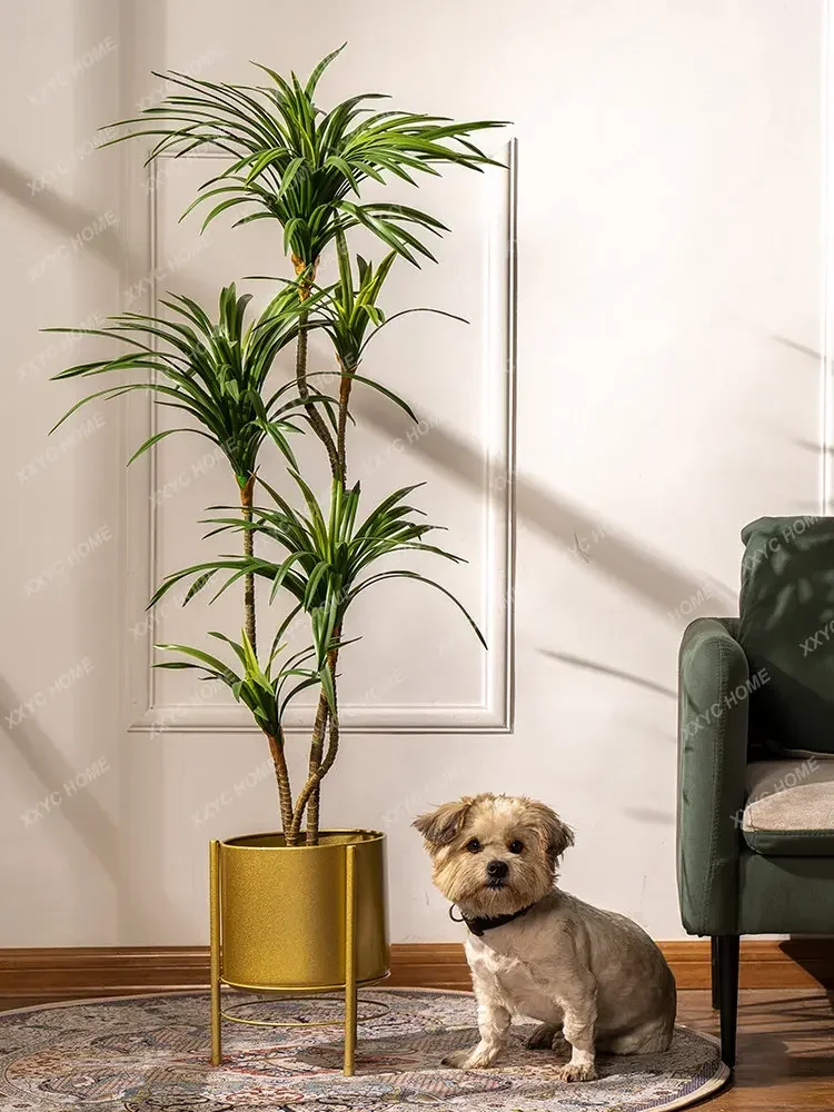 Simülasyon Renkli At Kuyruğu D - Dracaena Marginata incelemesi ve fiyatı