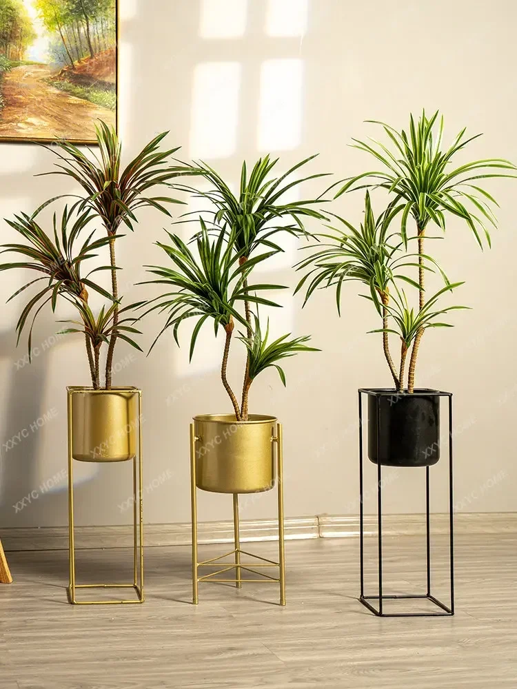 Simülasyon Renkli At Kuyruğu D - Dracaena Marginata incelemesi ve fiyatı