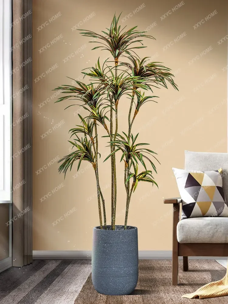 Simülasyon Dracaena Dracaena M - Dracaena Marginata incelemesi ve fiyatı