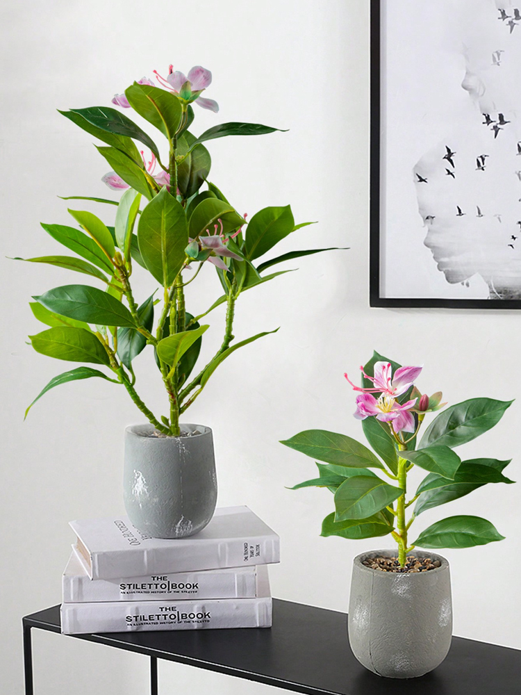21-40 cm Yapay Azaleas Bitkile - Ficus Lyrata Tree incelemesi ve fiyatı