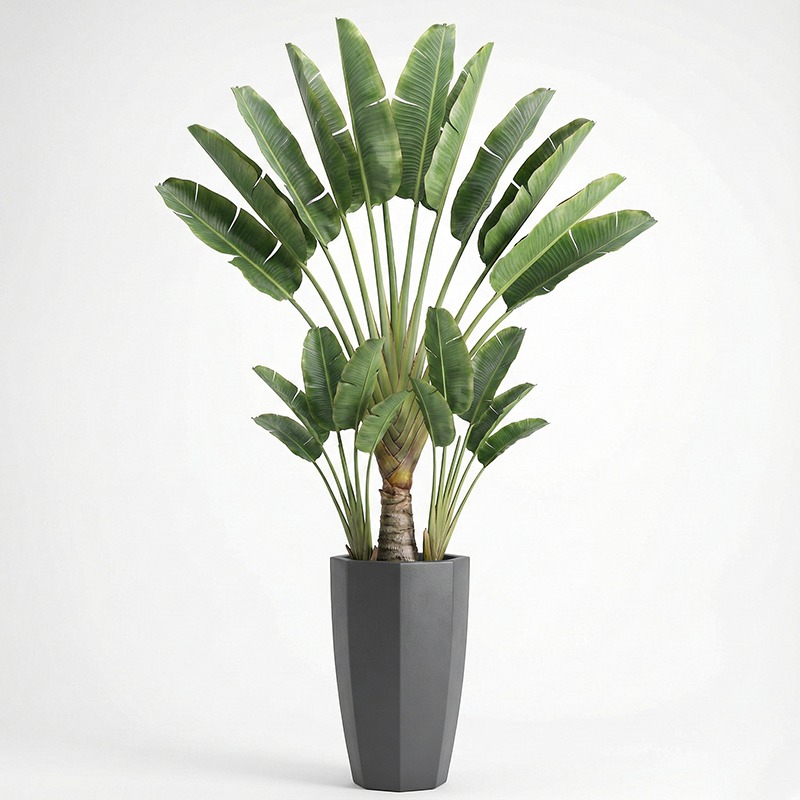 Yüksek Simülasyonlu Plastik Ke - Ficus Lyrata Tree incelemesi ve fiyatı
