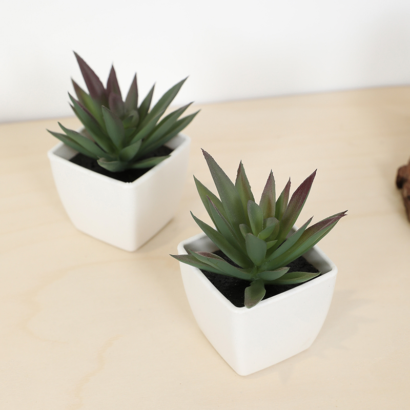Mini Yapay Etli Peri Bardağı K - Echeveria Succulent incelemesi ve fiyatı