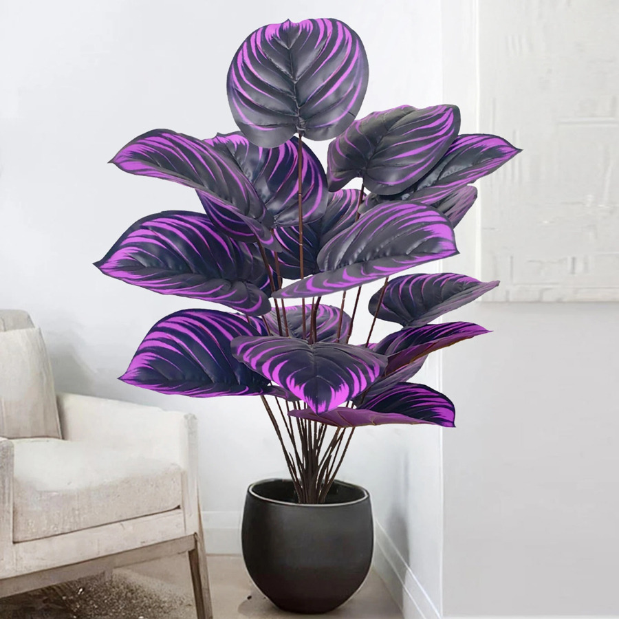 57-75 cm Büyük Sahte Palmiye A - Ficus Lyrata Tree incelemesi ve fiyatı