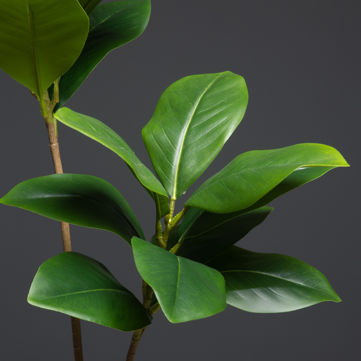 105 cm 2 Çatal Büyük Yapay Bit - Dracaena Marginata incelemesi ve fiyatı