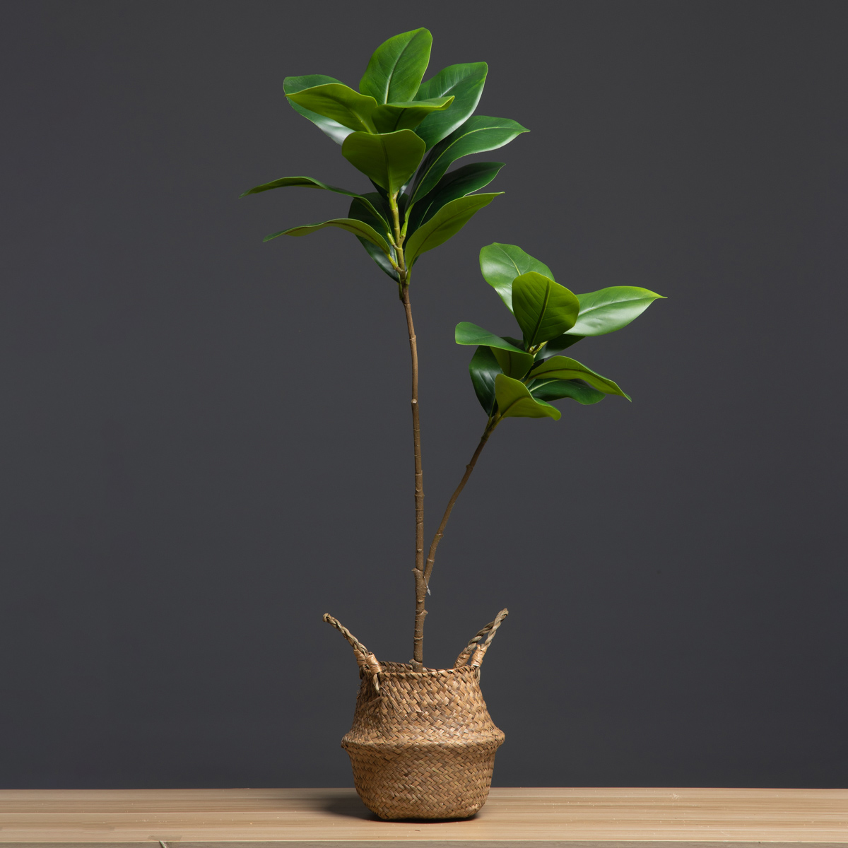 105 cm 2 Çatal Büyük Yapay Bit - Dracaena Marginata incelemesi ve fiyatı