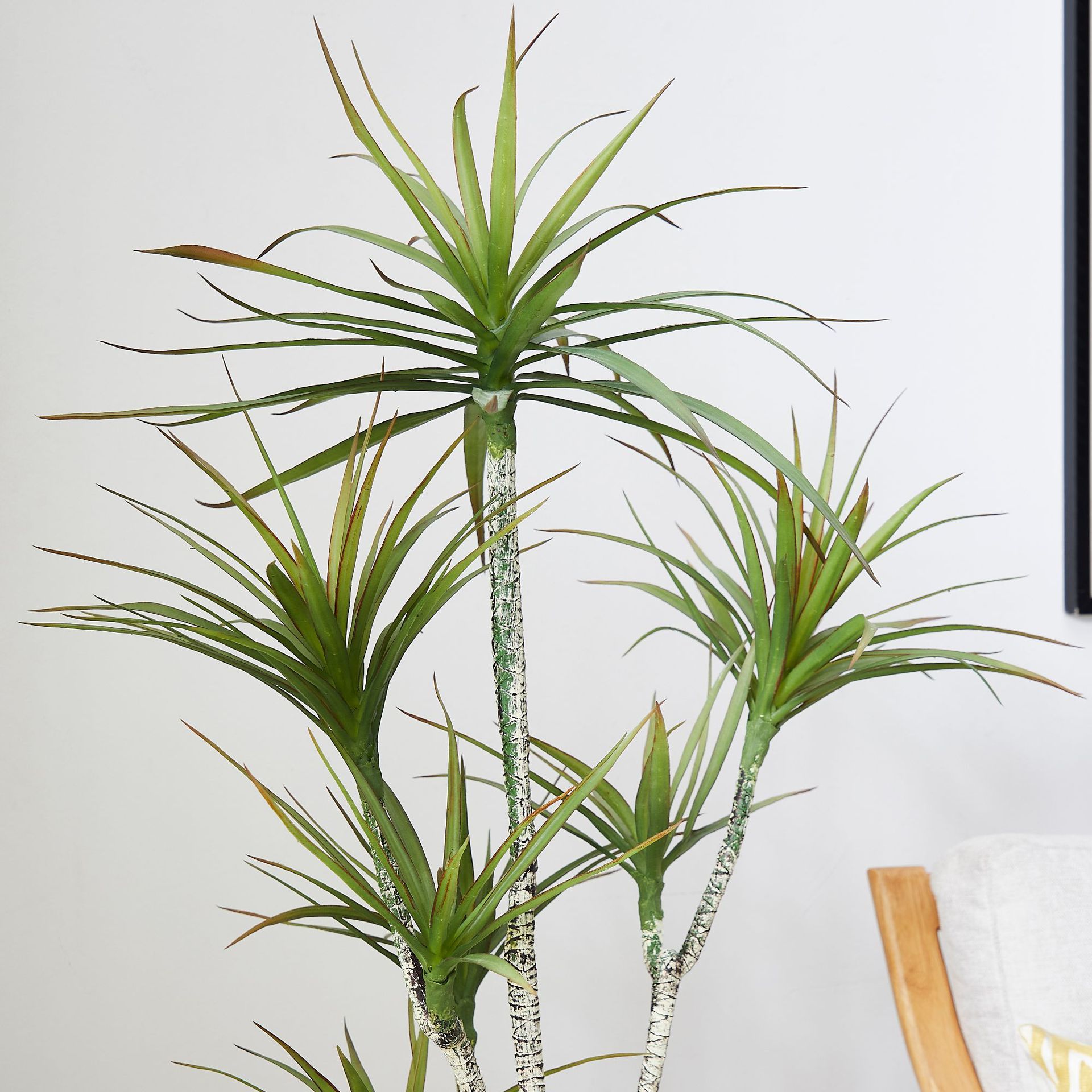 Yapay Plastik Saksıda ​ Bitki  - Dracaena Marginata incelemesi ve fiyatı